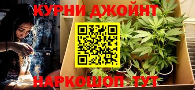 сатива Рязань